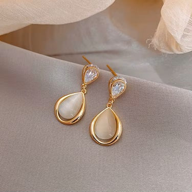 Korean Style 925 Earrings