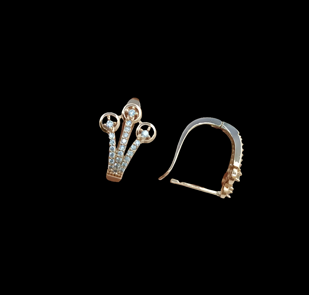 Exclusive AD Earring