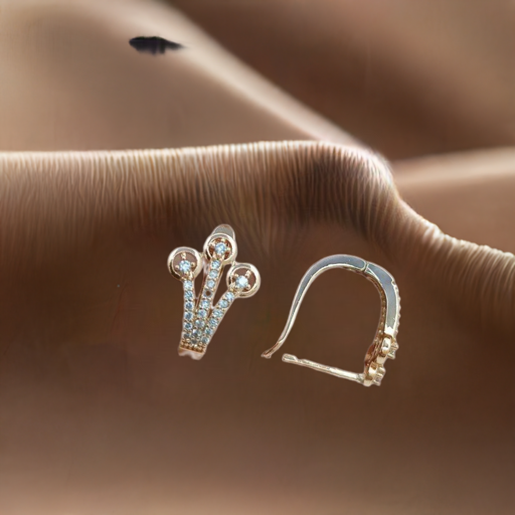 Exclusive AD Earring