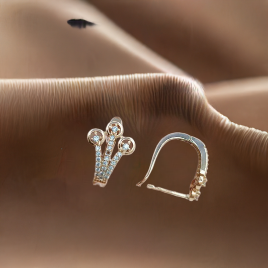Exclusive AD Earring