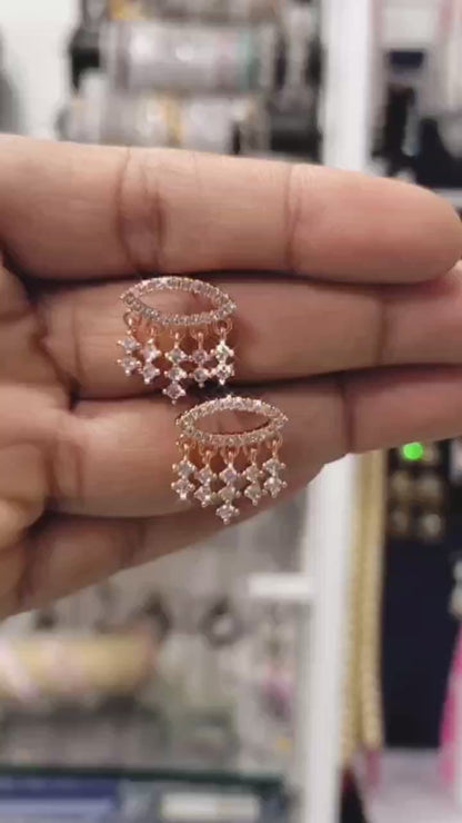 Exquisite AD Earrings